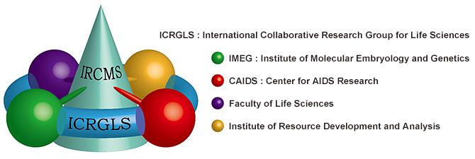 organization chart