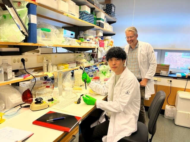 【Dispatch of student】Mr. Haruki Shirouzu (Laboratory of Proteostasis in Stem Cell, IRCMS)