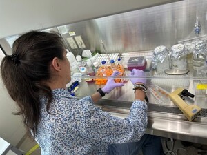 Work in the cell culture room.jpg