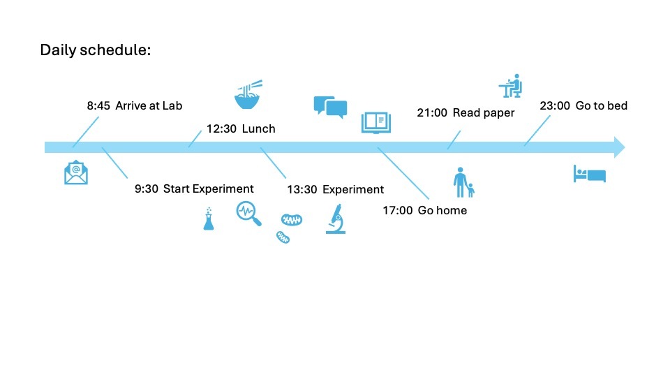 Elvira-Daily schedule.jpg