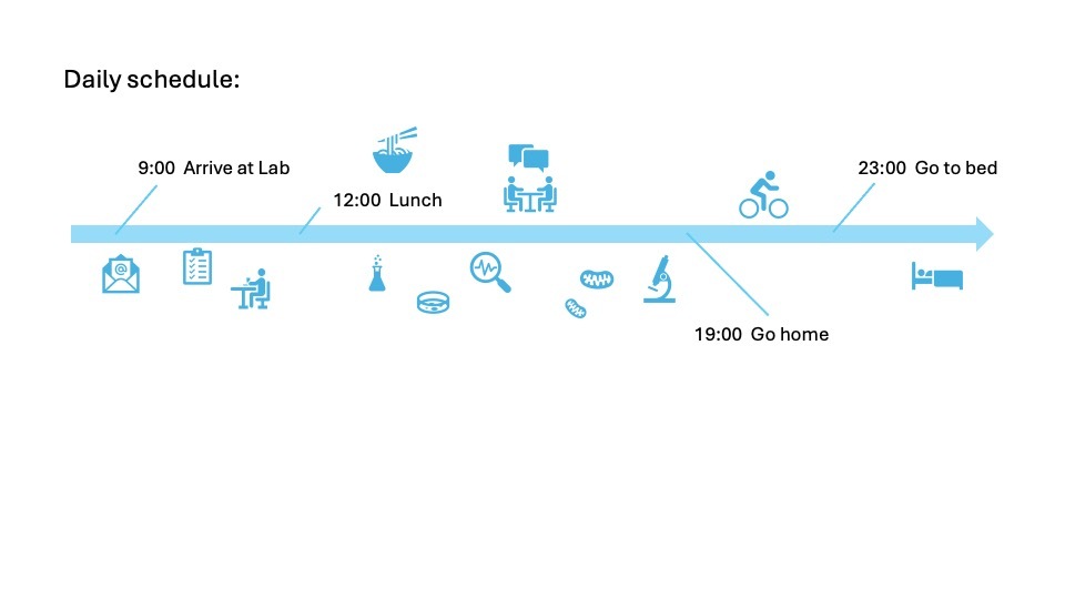Galym-Daily schedule.jpg