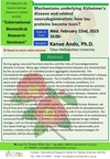 [Feb. 22] D5 Seminar-Dr. Kanae Ando (Tokyo Metropolitan University) 