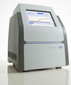 Real-time PCR 2