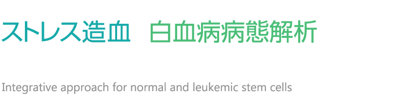 日本学術振興会 研究拠点形成事業 先端拠点形成型（令和2年度）ストレス造血と白血病病態解析のための基礎・臨床研究共同体の構築 Integrative approach for normal and leukemic stem cells