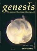 cover-genesis1.jpg