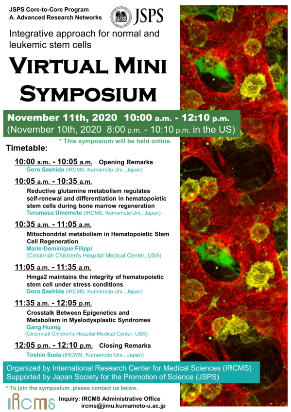 Flyer_2020Nov11Symposium.png