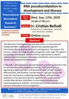 [Sep. 17]  D5 Seminar-Dr. Cristian Bellodi (University of Copenhagen, Denmark/Lund University, Sweden)
