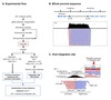 HIV-1 DNA-capture-seq is a useful tool for the comprehensive characterization of HIV-1 provirus