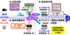 【Publications】Suppressing glutamate dehydrogenase guides hematopoietic stem cell divisions into self-renewal