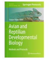 Avian and Reptilian Developmental Biology.PNG